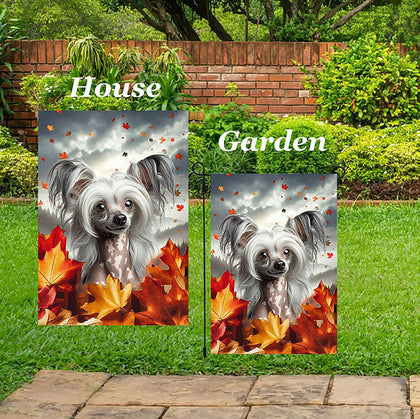 Chinese Crested - Best of Breed  Fall Leaves Outdoor House and Garden Flag
