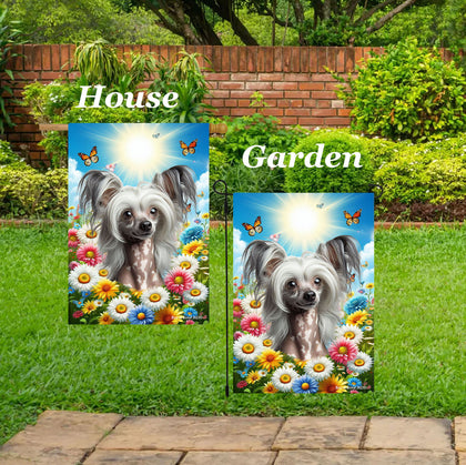 Chinese Crested - Best of Breed  Summer Butterflies Outdoor House and Garden Flag