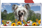 Chinese Crested - Best of Breed Summer Flowers Mailbox Cover Hi-Grade Vinyl 6" x 19"