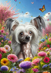 Chinese Crested - Best of Breed  Spring Butterflies Outdoor House and Garden Flag