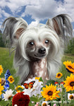 Chinese Crested - Best of Breed  Summer Fields Outdoor House and Garden Flag