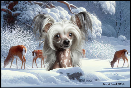 Chinese Crested - Best of Breed Winter Wonderland Floor Mat Tufted Loop 18" x 27"