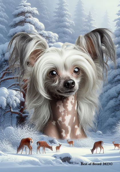 Chinese Crested - Best of Breed  Winter Wonderland Outdoor House and Garden Flag