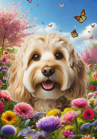 Cockapoo Blonde - Best of Breed  Spring Butterflies Outdoor House and Garden Flag