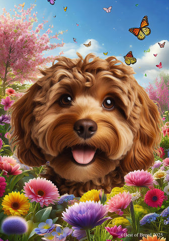 Cockapoo Chocolate - Best of Breed  Spring Butterflies Outdoor House and Garden Flag