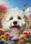 Cockapoo White - Best of Breed  Spring Butterflies Outdoor House and Garden Flag