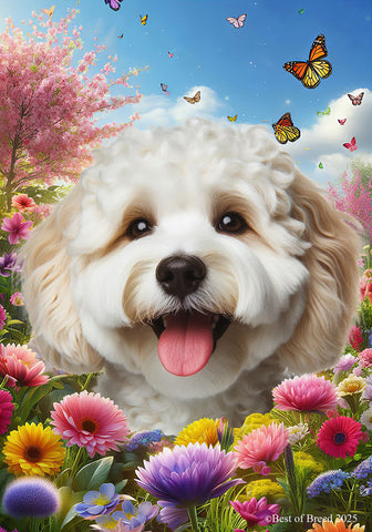 Cockapoo White - Best of Breed  Spring Butterflies Outdoor House and Garden Flag