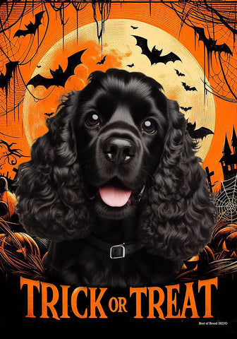 Cocker Spaniel Black - Best of Breed  Halloween Outdoor House and Garden Flag