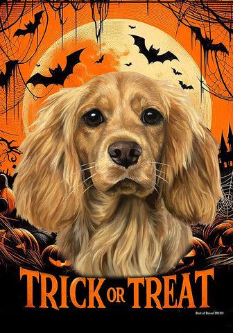 Cocker Spaniel Buff - Best of Breed  Halloween Outdoor House and Garden Flag