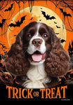 Cocker Spaniel Chocolate/White - Best of Breed  Halloween Outdoor House and Garden Flag