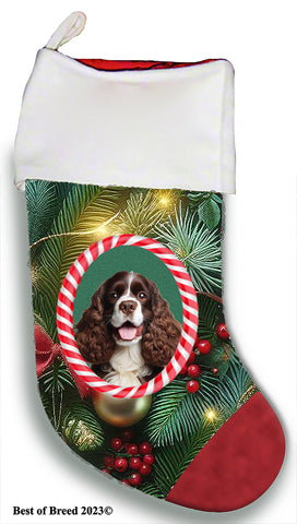 Cocker Spaniel Chocolate/White - Best of Breed  Christmas Stocking 13.5"  Red Gaming Cloth with Red Lining ,Plush White Cuff