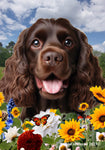 Cocker Spaniel Chocolate - Best of Breed  Summer Fields Outdoor House and Garden Flag