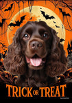 Cocker Spaniel Chocolate - Best of Breed  Halloween Outdoor House and Garden Flag