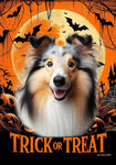 Collie Blue Merle - Best of Breed  Halloween Outdoor House and Garden Flag