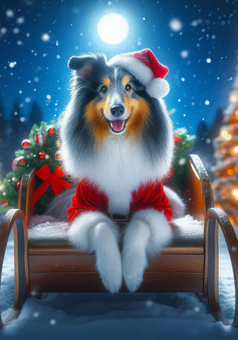 Collie Blue Merle -  Best of Breed DCR Christmas Outdoor House and Garden Flag