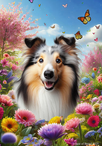 Collie Blue Merle - Best of Breed  Spring Butterflies Outdoor House and Garden Flag