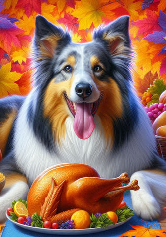 Collie Blue Merle -  Best of Breed DCR Thanksgiving Outdoor House and Garden Flag