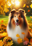 Collie Sable -  Best of Breed DCR Falling Leaves Outdoor Flag