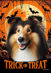 Collie Sable - Best of Breed  Halloween Outdoor House and Garden Flag