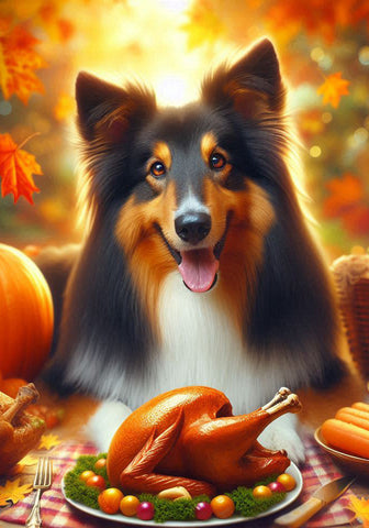 Collie Tri -  Best of Breed DCR Thanksgiving Outdoor House and Garden Flag