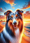 Collie Blue Merle -  Best of Breed DCR Summer Sunset Outdoor House and Garden Flag