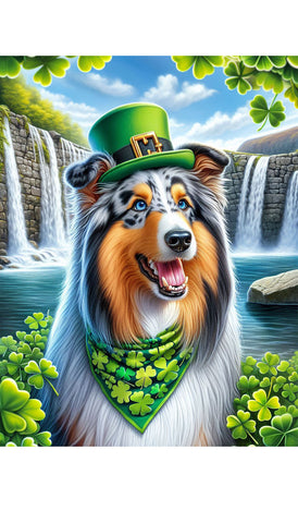 Collie Blue Merle -  Best of Breed DCR Saint Patricks Day Day Outdoor House and Garden Flag