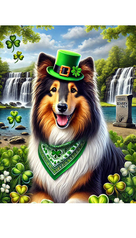 Collie Tri -  Best of Breed DCR Saint Patricks Day Day Outdoor House and Garden Flag