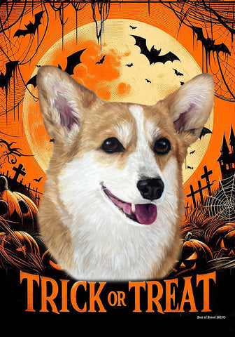 Corgi Pembroke Welsh Fawn/White - Best of Breed  Halloween Outdoor House and Garden Flag