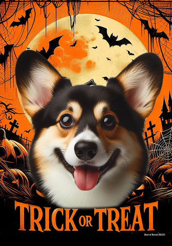 Corgi Pembroke Welsh Tri - Best of Breed  Halloween Outdoor House and Garden Flag