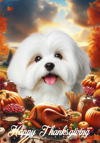 Coton De Tulear - Best of Breed  Thanksgiving Outdoor House and Garden Flag