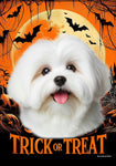 Coton De Tulear - Best of Breed  Halloween Outdoor House and Garden Flag