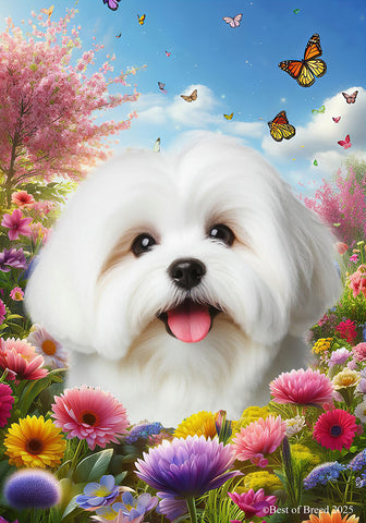 Coton De Tulear - Best of Breed  Spring Butterflies Outdoor House and Garden Flag