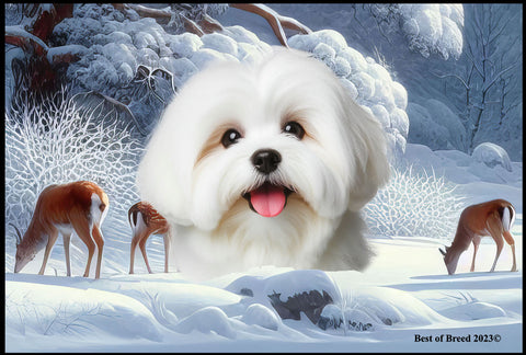 Coton De Tulear - Best of Breed Winter Wonderland Floor Mat Tufted Loop 18" x 27"