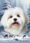 Coton De Tulear - Best of Breed  Winter Wonderland Outdoor House and Garden Flag