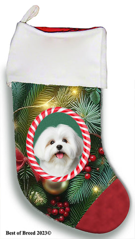 Coton De Tulear - Best of Breed  Christmas Stocking 13.5"  Red Gaming Cloth with Red Lining ,Plush White Cuff