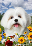 Coton De Tulear - Best of Breed  Summer Fields Outdoor House and Garden Flag