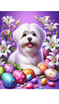 Coton De Tulear -  Best of Breed DCR Easter Holiday    Outdoor House and Garden Flag