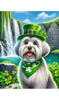 Coton De Tulear -  Best of Breed DCR Saint Patricks Day Day Outdoor House and Garden Flag