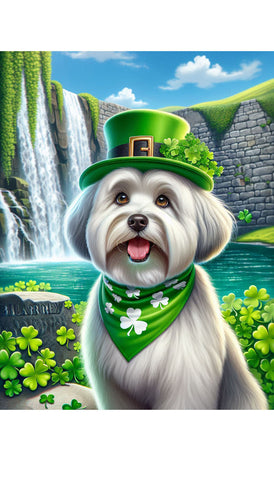 Coton De Tulear -  Best of Breed DCR Saint Patricks Day Day Outdoor House and Garden Flag