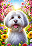 Coton De Tulear -  Best of Breed DCR Spring II    Outdoor House and Garden Flag