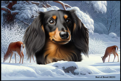 Dachshund  B/T Longhair - Best of Breed Winter Wonderland Floor Mat Tufted Loop 18" x 27"