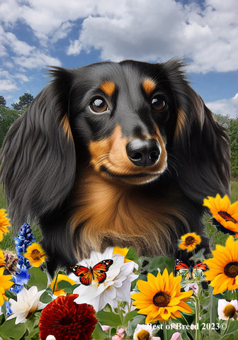 Dachshund  B/T Longhair - Best of Breed  Summer Fields Outdoor House and Garden Flag