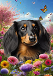 Dachshund  B/T Longhair - Best of Breed  Spring Butterflies Outdoor House and Garden Flag