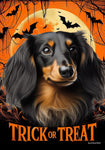 Dachshund  B/T Longhair - Best of Breed  Halloween Outdoor House and Garden Flag