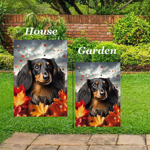 Dachshund  B/T Longhair - Best of Breed  Fall Leaves Outdoor House and Garden Flag