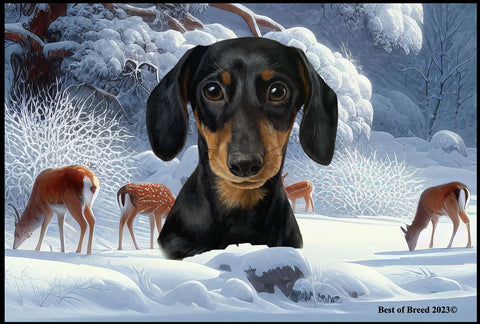 Dachshund Black/Tan - Best of Breed Winter Wonderland Floor Mat Tufted Loop 18" x 27"