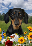 Dachshund Black/Tan - Best of Breed  Summer Fields Outdoor House and Garden Flag