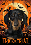 Dachshund Black/Tan - Best of Breed  Halloween Outdoor House and Garden Flag