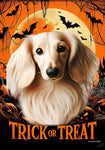 Dachshund Cream Longhaired - Best of Breed  Halloween Outdoor House and Garden Flag