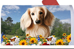 Dachshund Cream Longhaired - Best of Breed Summer Flowers Mailbox Cover Hi-Grade Vinyl 6" x 19"